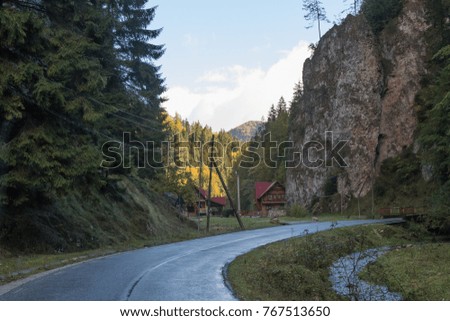 The road passing in the gorge at the foot of the Carpathian Mountains near the town of Bran in Romania