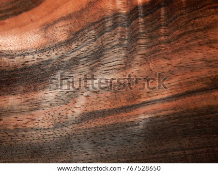 Natural wood veneer wood ebony Eben Makassar Royalty-Free Stock Photo #767528650