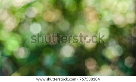 Natural green blurred abstract background. Bokeh background.