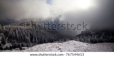 Christmas and New Year background with winter trees in mountains covered with fresh snow - Magic holiday background