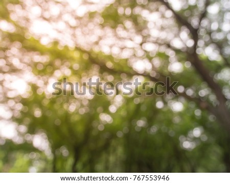 Blurred image natural green leaves with sun light, Abstract background bokeh