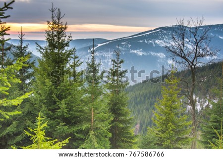 Valley of white Labe, Krkonose mountains, Czech Republic