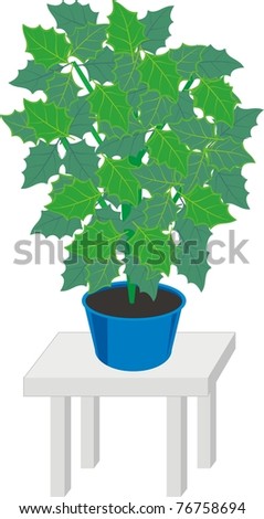 Vector house plants in dark blue pots on gray table  - color isolated illustration on white background
