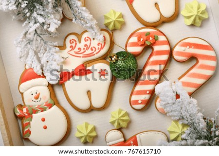 Gingerbread  christmas cookies set in box, holidays