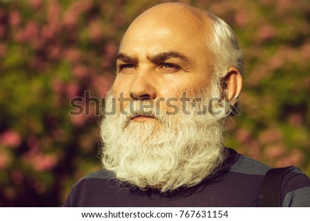 male eye with bright striped lens and hairy eyebrow of old bearded man with wrinkled skin and long beard on serious face sunny day outdoor on natural background