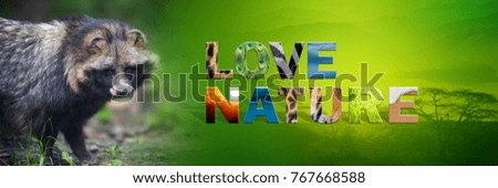 Banner with raccoon and text Love Nature with texture
