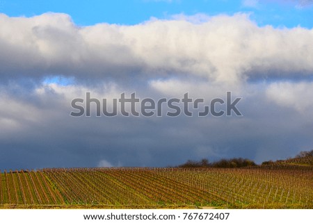 Vineyards in the valley.
