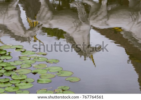 Unicorn reflected with water and lotus leaves.  