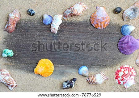 shell on the sand around wood background