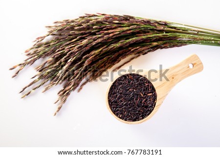 Rice berry on white background