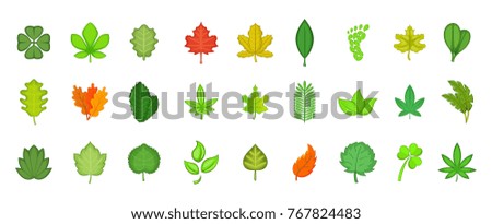 Leaf icon set. Cartoon set of leaf vector icons for your web design isolated on white background