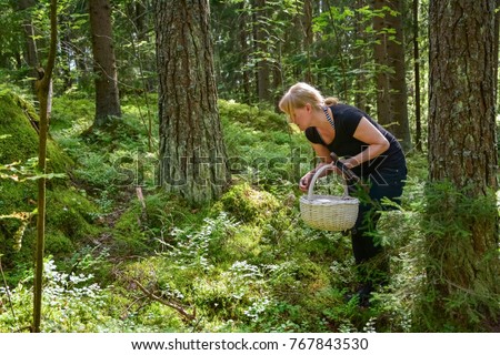 Woman picking mushrooms and berries in forest