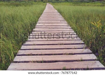 empty wooden path 