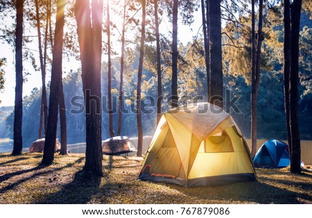 Camping and tent under the pine forest near the lake with beautiful sunlight in the morning  Royalty-Free Stock Photo #767879086