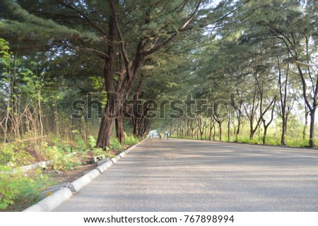 A secluded road during the early morning hours, in the island of Hulhumalé, Maldives