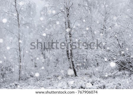 Snow covered trees and heavy snowing in the mountains. Christmas concept