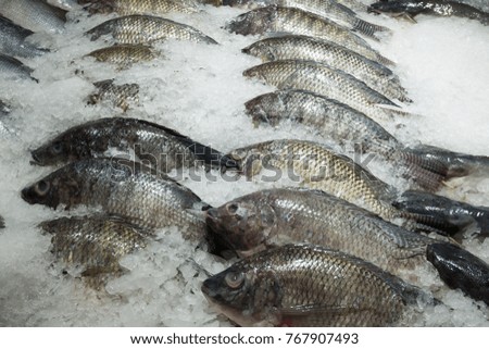 Fresh tilapia fish on ice in the market