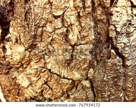 Gold color on wood bark texture background 