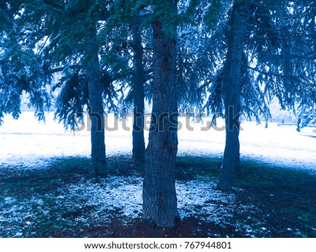 Nature Landscape under snow photo, winter