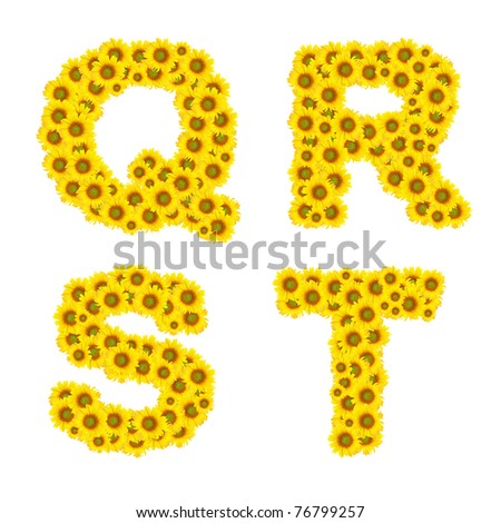 sunflower alphabet  isolated on white background