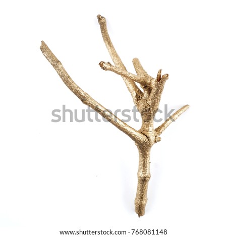 golden branches. gold tree branch isolated on white background. greeting cards decoration. christmas decor.
