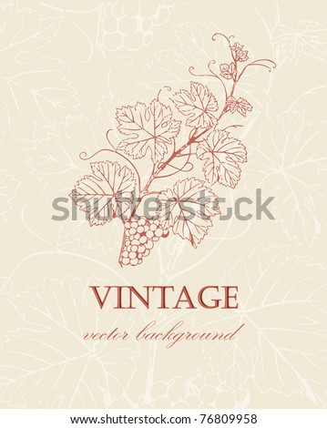 Wine label with  grape branch in retro style