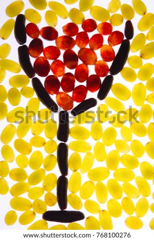 Organic wine grapes. Child-like wine glass picture with red green and black fruit varieties on white background.