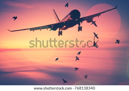 airplane and birds flying on sunset beach double exposure with colorful bokeh light abstract background vintage tone color style. transportation and nature concept