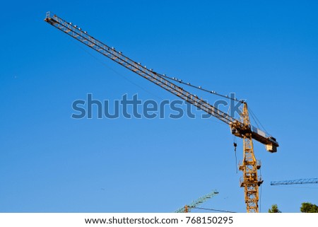 Big Cranes with Gulls on the Blue Background.