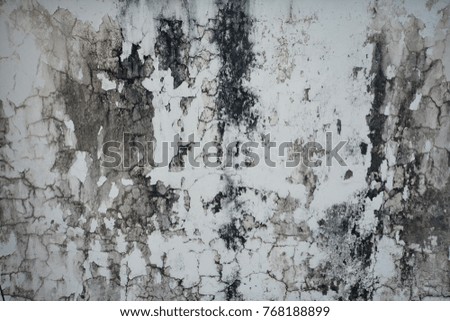 Old white concrete wall,detailed background photo.