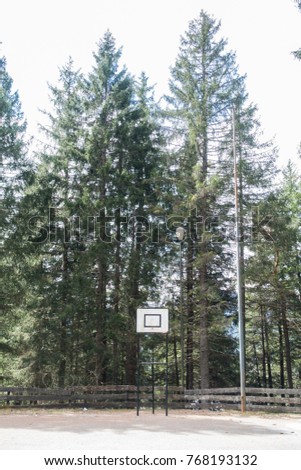 Basketball court into the woods