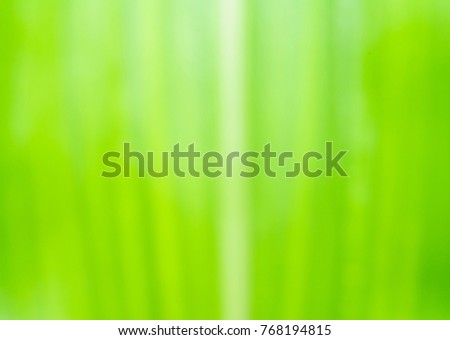 Abstract green background from nature.