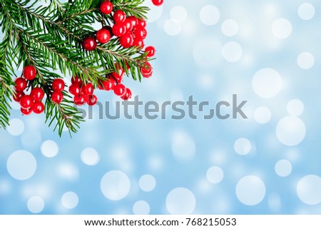 New Year tree branches and a berry of a viburnum on a blue snow background