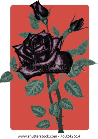 Black Roses on Red - Vector