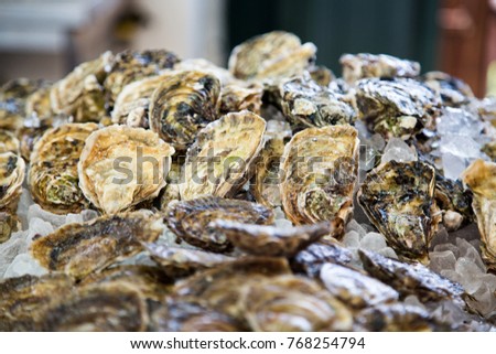 Oysters on ice on a fish market. Macro. Side view.