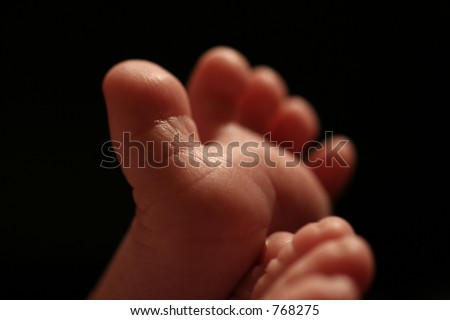 newborn  foot