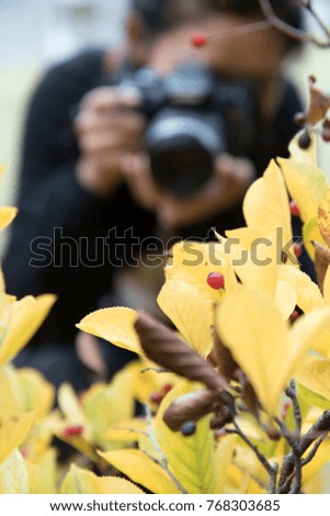 The woman with the camera takes pictures of the leaves on the tree. Focused on the plant.