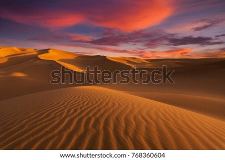 Beautiful sand dunes in the Sahara desert. Royalty-Free Stock Photo #768360604