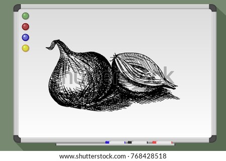 Onion hand drawn. Vector stock illustration. vegetable concept