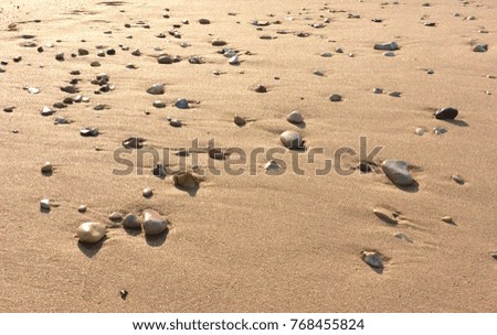 Small pebbles on the wet sand in morning light