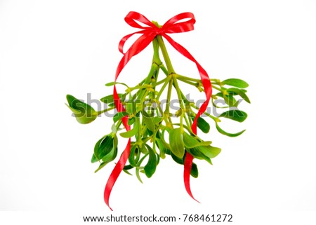 Green mistletoe with ribbon isolated on white background. Christmas concept.