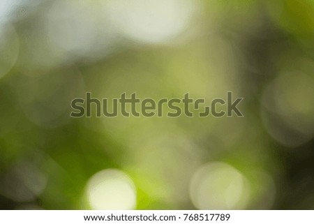 texture background of blurred picture free space,The green background and the softness of nature are enhanced by the image, which makes the image look lively.