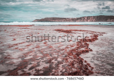 Ocean Bay at low tide in stormy weather landscape.