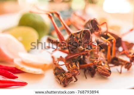 Grasshopper fried insect plates with vegetables on an old wooden background. Insect food is the healthy meal high protein diet concept.