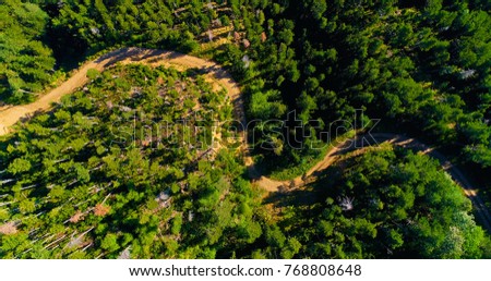 landscape forest in aerial view