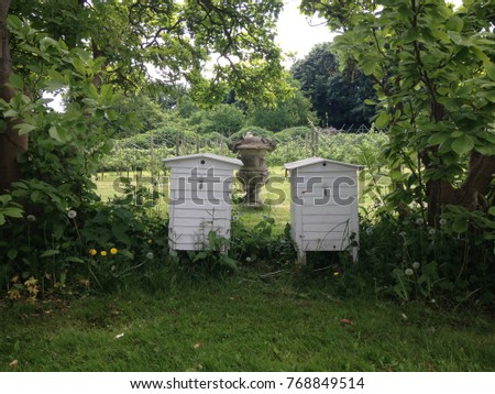 Landscape picture of two old fashioned white wood beehives in a garden, captured in Denmark