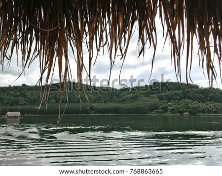 View from floating house in the river