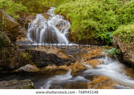 Waterfall in the rainforest jungle of Chiangmai, Thailand.
