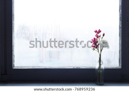 Flower on a window sill a rainy autumn day