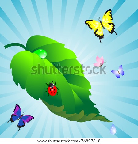 Green leaf with drops and ladybird; butterflies. Vector.